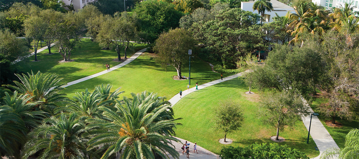 This is an aerial photo of various walkways around campus. There are trees surrounding the border of the photo. Grass in within the border of trees, and several cement pathways are connecting students to different sides of the campus.