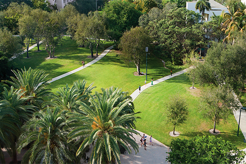This is an aerial photo of various walkways around campus. There are trees surrounding the border of the photo. Grass in within the border of trees, and several cement pathways are connecting students to different sides of the campus.