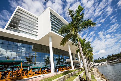 This is a photo of the Student Shalala Center at the University of Miami Coral Gables campus. The picture was taken at an angle. There is an angled view of the building and palm trees along the side of it.